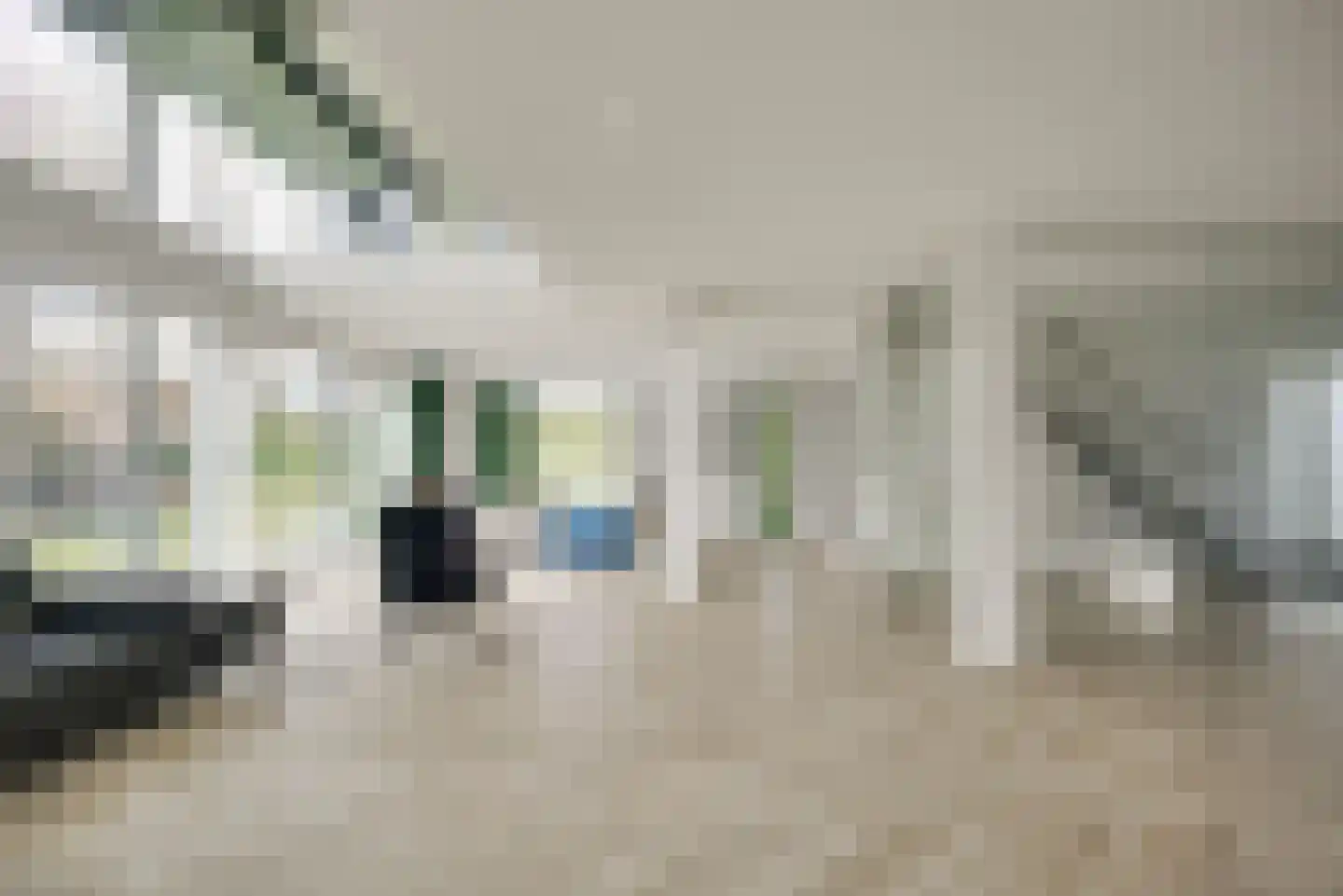 Maasdamstraat 22 B Zoetermeer thumbnail 14