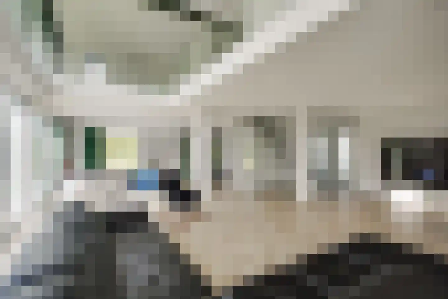 Maasdamstraat 22 B Zoetermeer thumbnail 15
