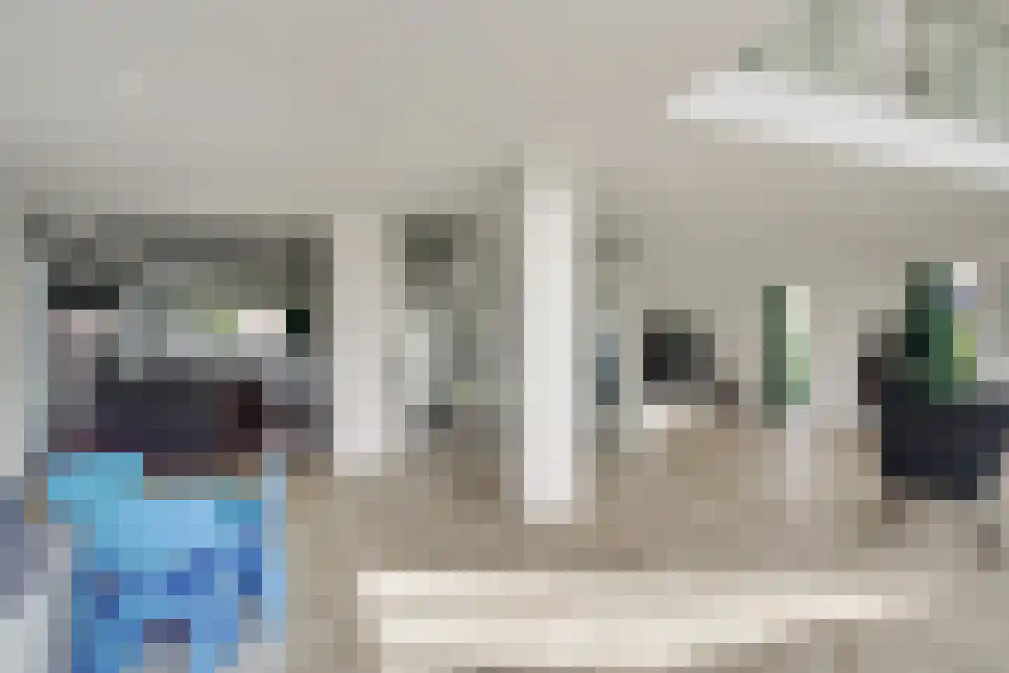 Maasdamstraat 22 B Zoetermeer thumbnail 19