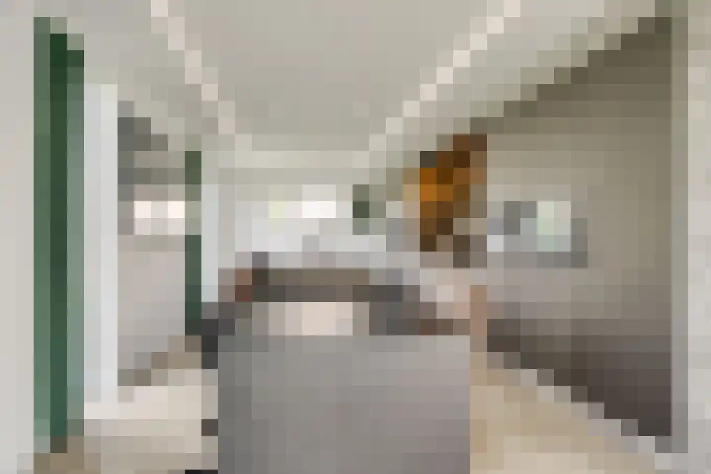 Maasdamstraat 22 B Zoetermeer thumbnail 21