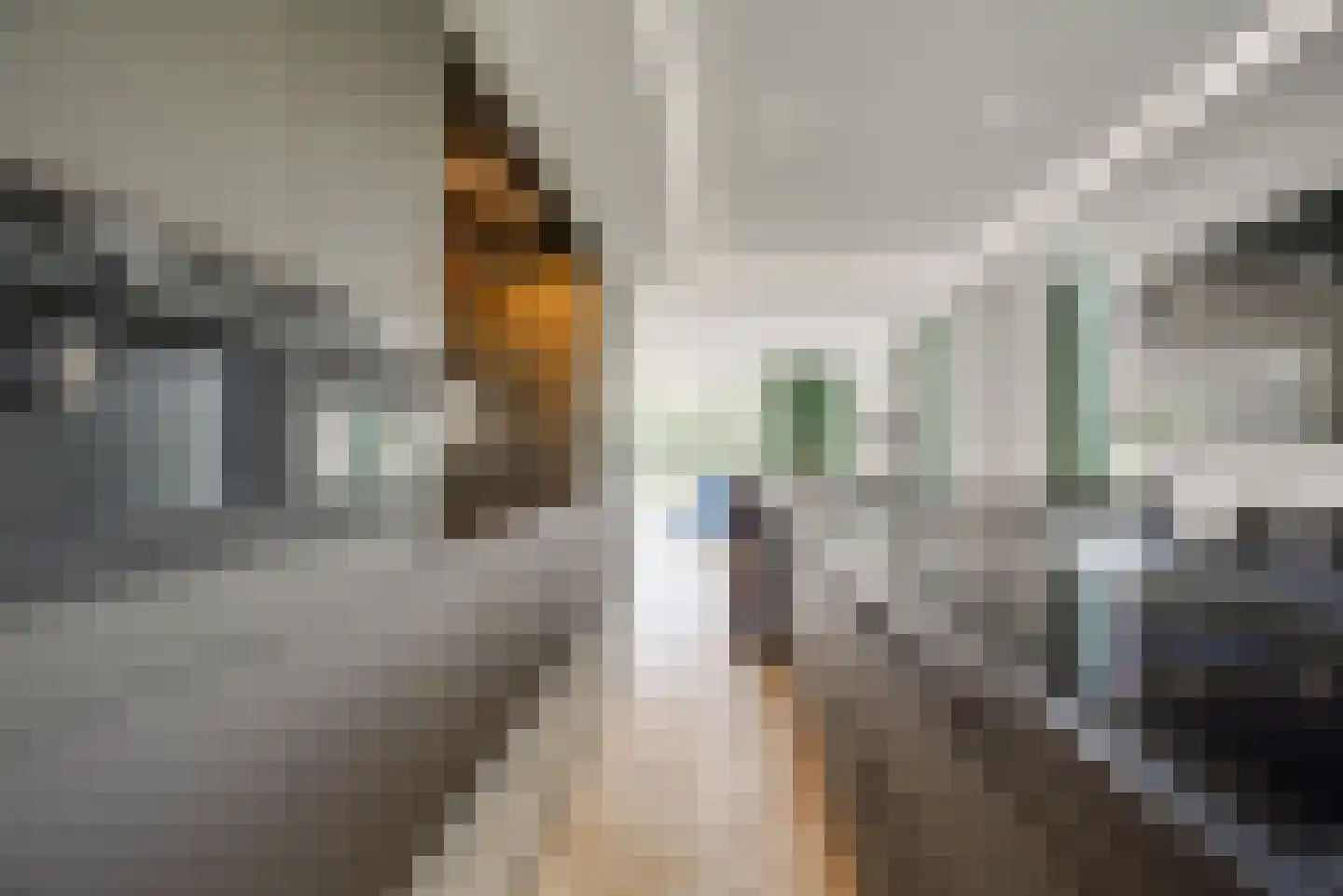 Maasdamstraat 22 B Zoetermeer thumbnail 22