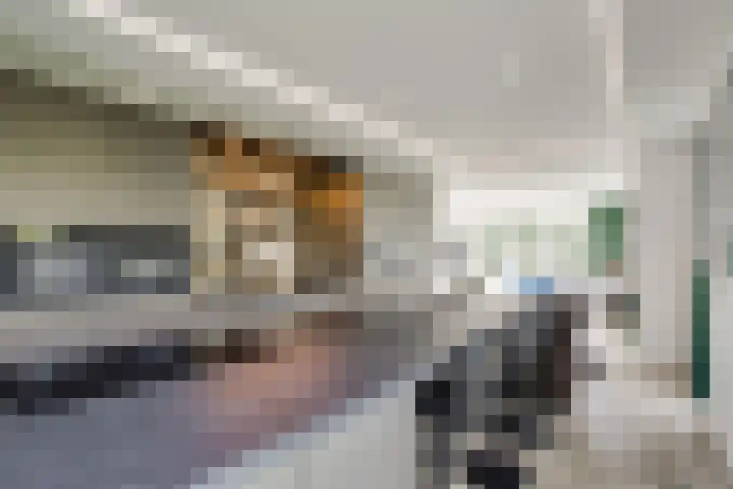Maasdamstraat 22 B Zoetermeer thumbnail 23