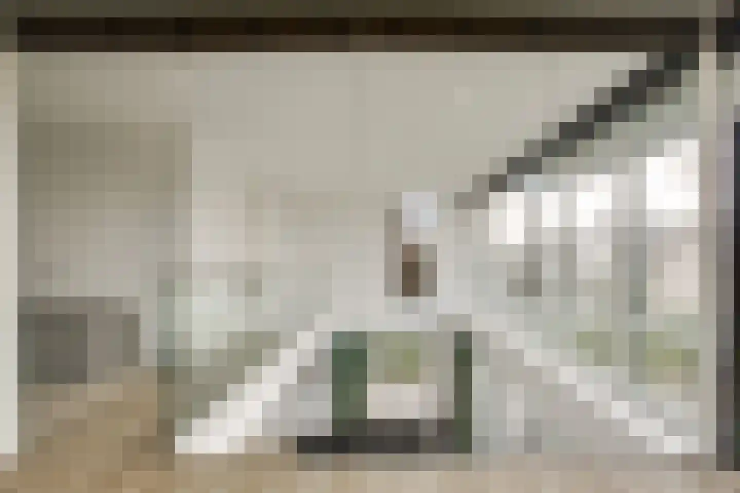 Maasdamstraat 22 B Zoetermeer thumbnail 30
