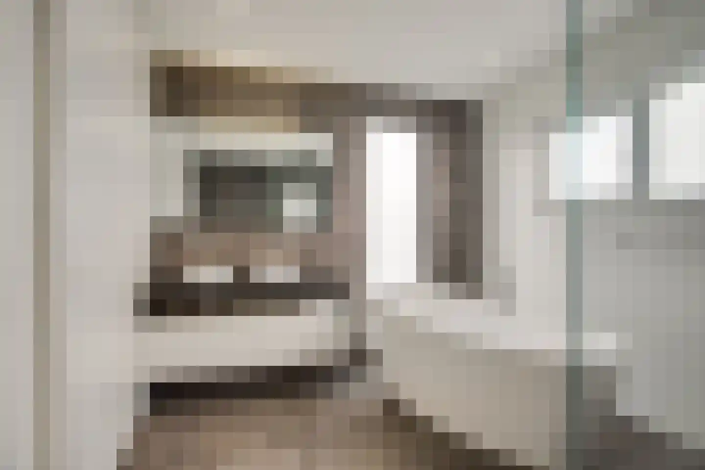 Maasdamstraat 22 B Zoetermeer thumbnail 34