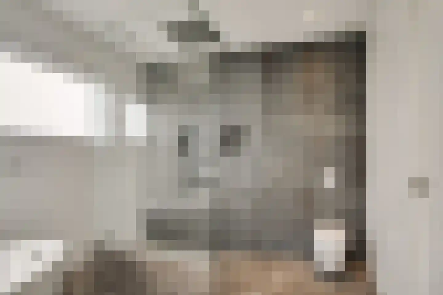 Maasdamstraat 22 B Zoetermeer thumbnail 35