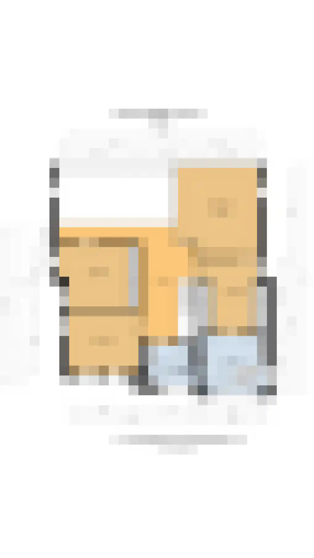 Maasdamstraat 22 B Zoetermeer thumbnail 63