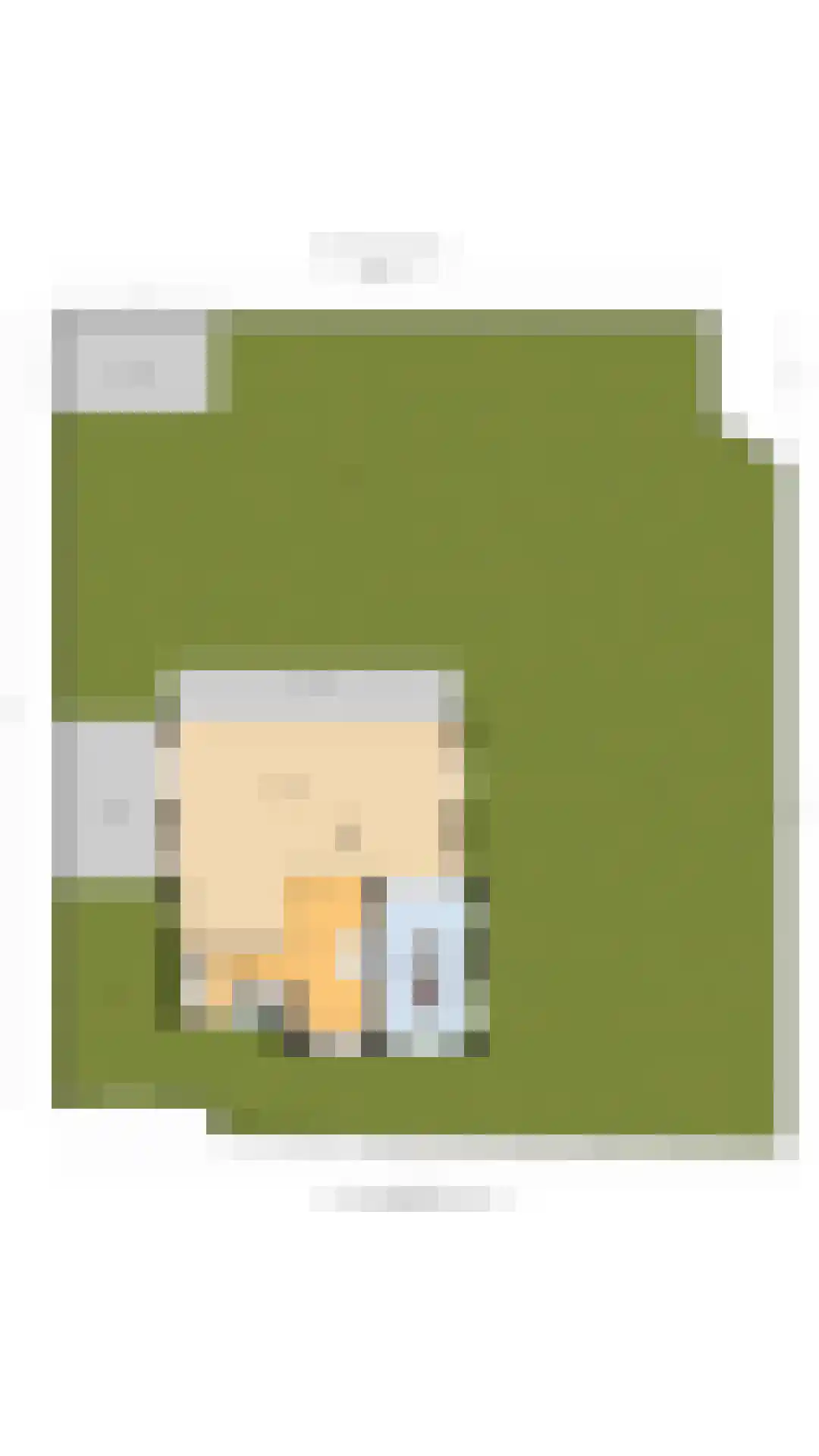Maasdamstraat 22 B Zoetermeer thumbnail 66