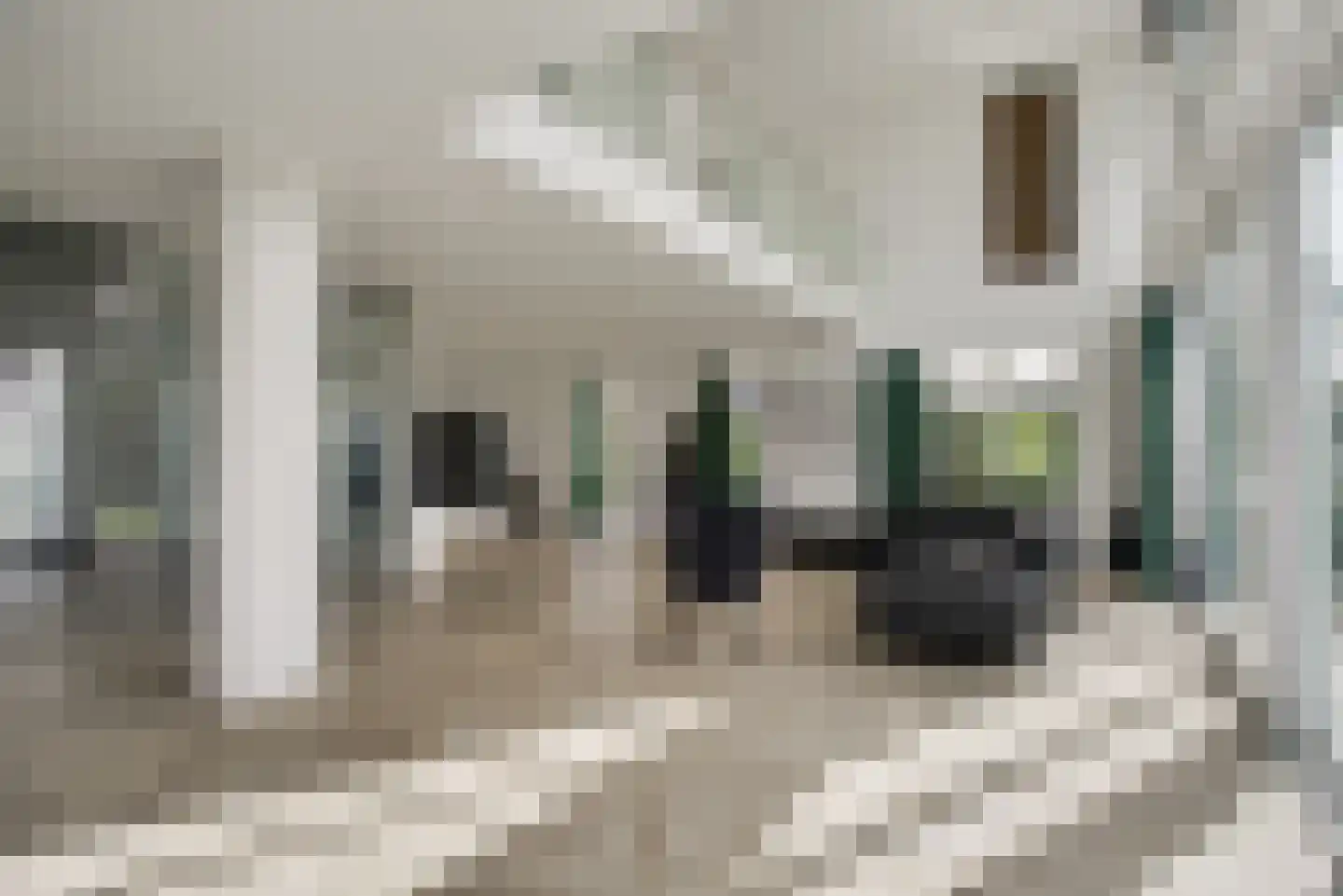 Maasdamstraat 22 B Zoetermeer thumbnail 7
