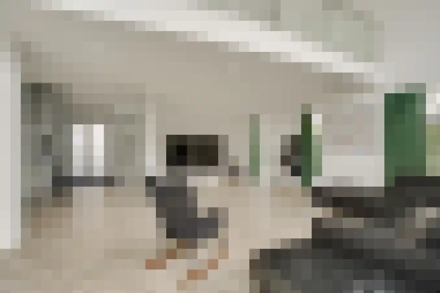 Maasdamstraat 22 B Zoetermeer thumbnail 8