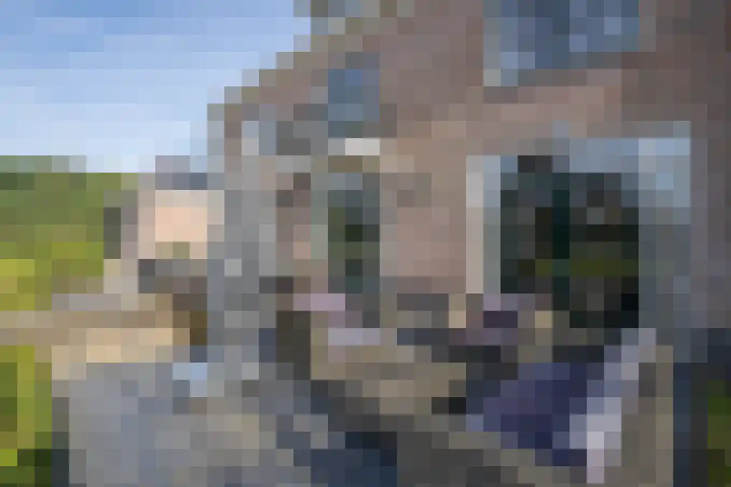 Maasdamstraat 30 Zoetermeer thumbnail 16