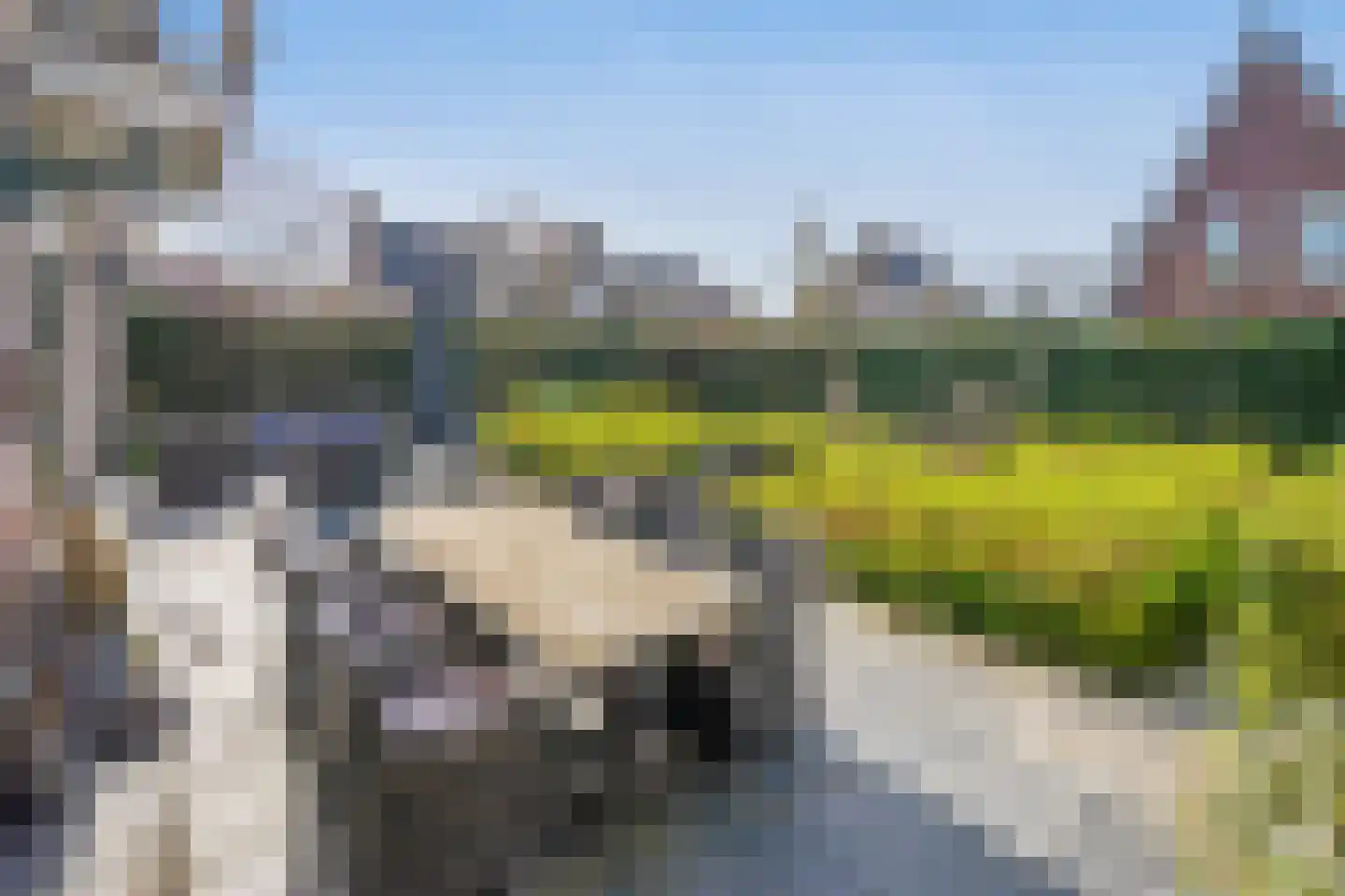 Maasdamstraat 30 Zoetermeer thumbnail 20