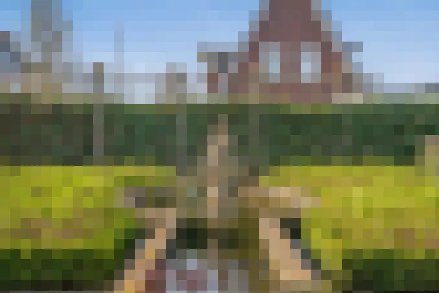 Maasdamstraat 30 Zoetermeer thumbnail 21
