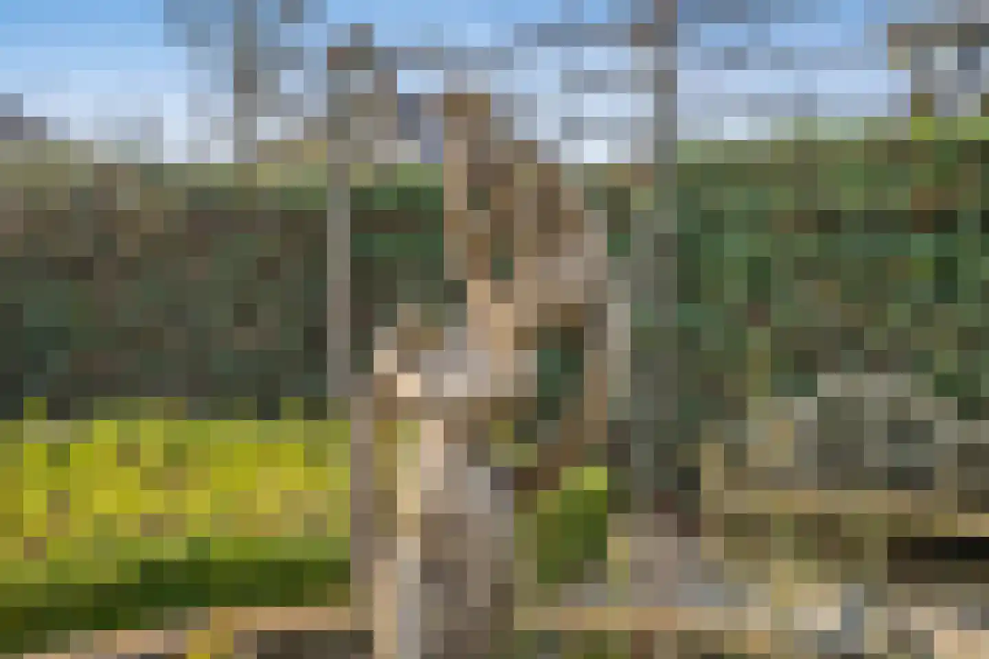 Maasdamstraat 30 Zoetermeer thumbnail 22