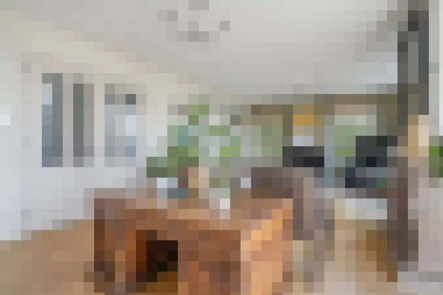 Maasdamstraat 30 Zoetermeer thumbnail 23