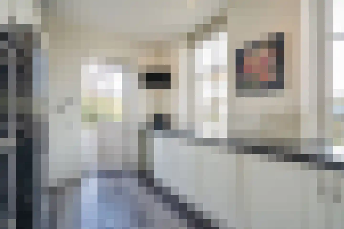 Maasdamstraat 30 Zoetermeer thumbnail 29
