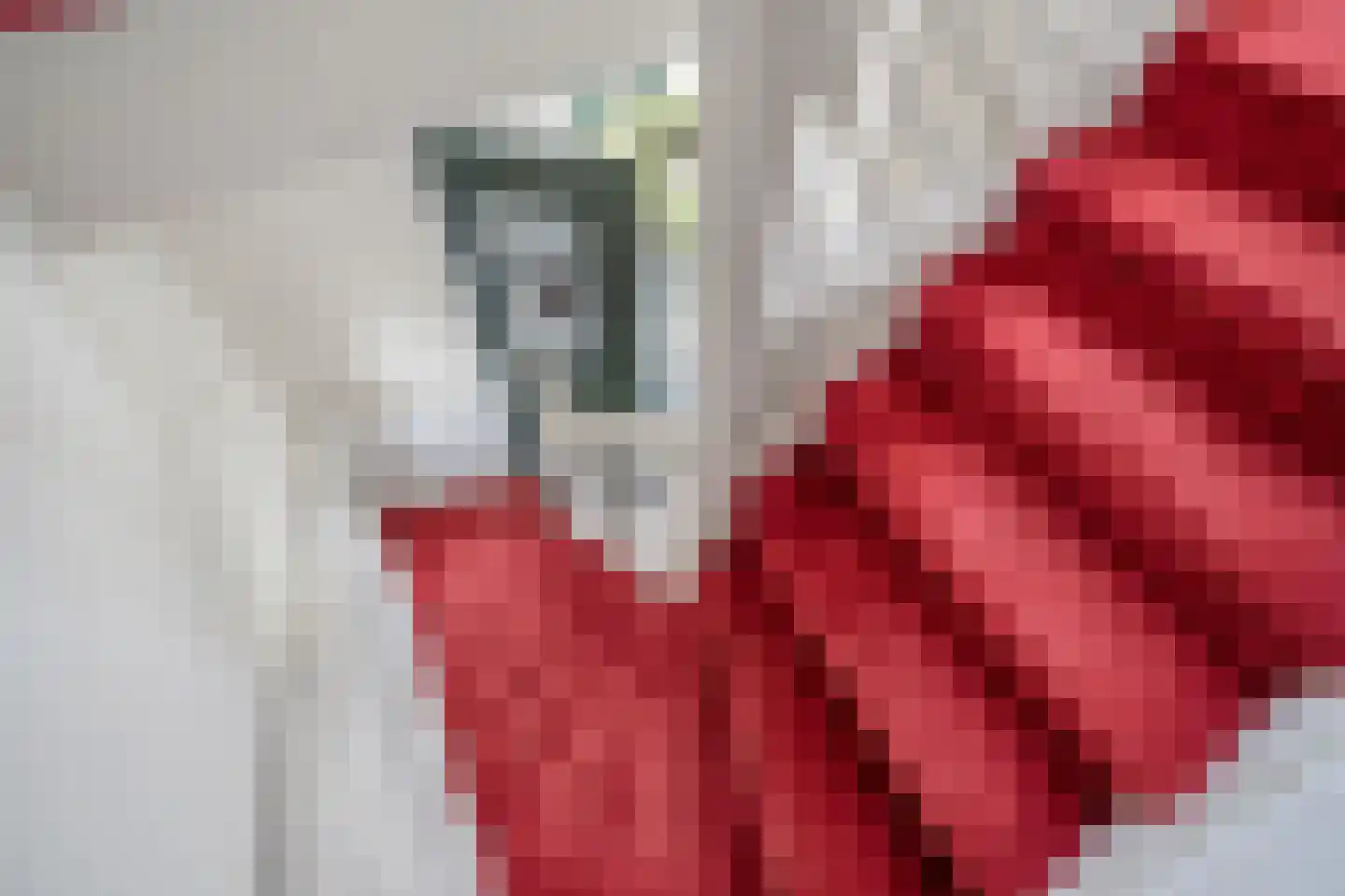 Maasdamstraat 30 Zoetermeer thumbnail 36