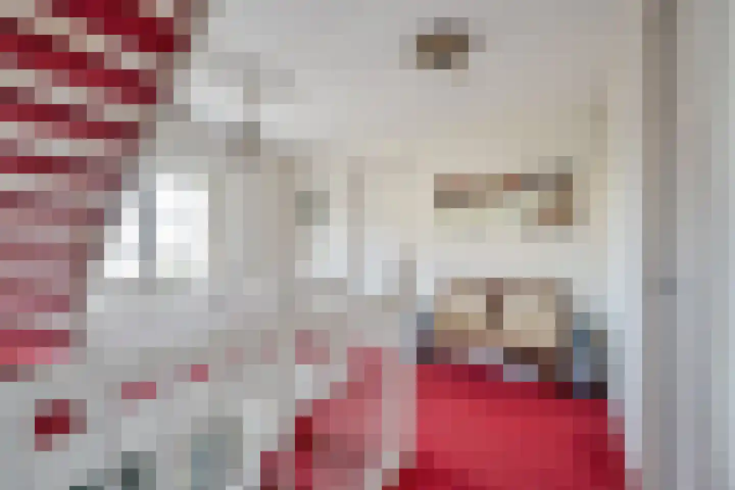 Maasdamstraat 30 Zoetermeer thumbnail 38