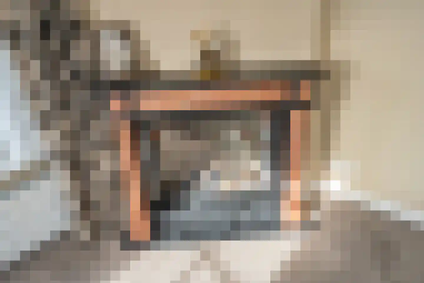 Maasdamstraat 30 Zoetermeer thumbnail 40