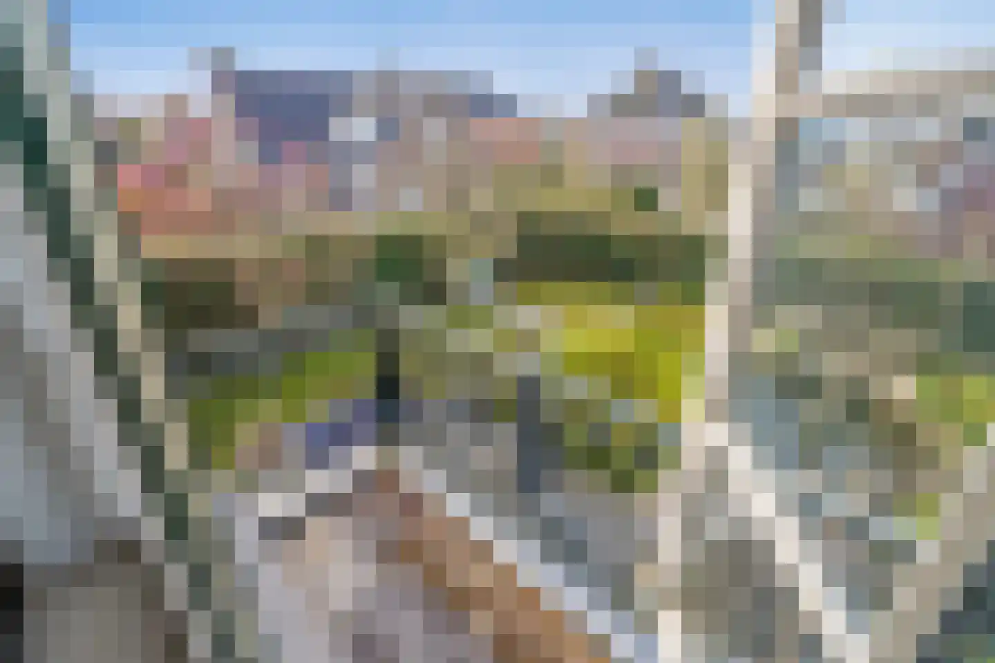 Maasdamstraat 30 Zoetermeer thumbnail 45