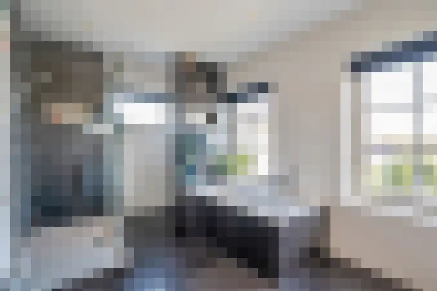 Maasdamstraat 30 Zoetermeer thumbnail 46
