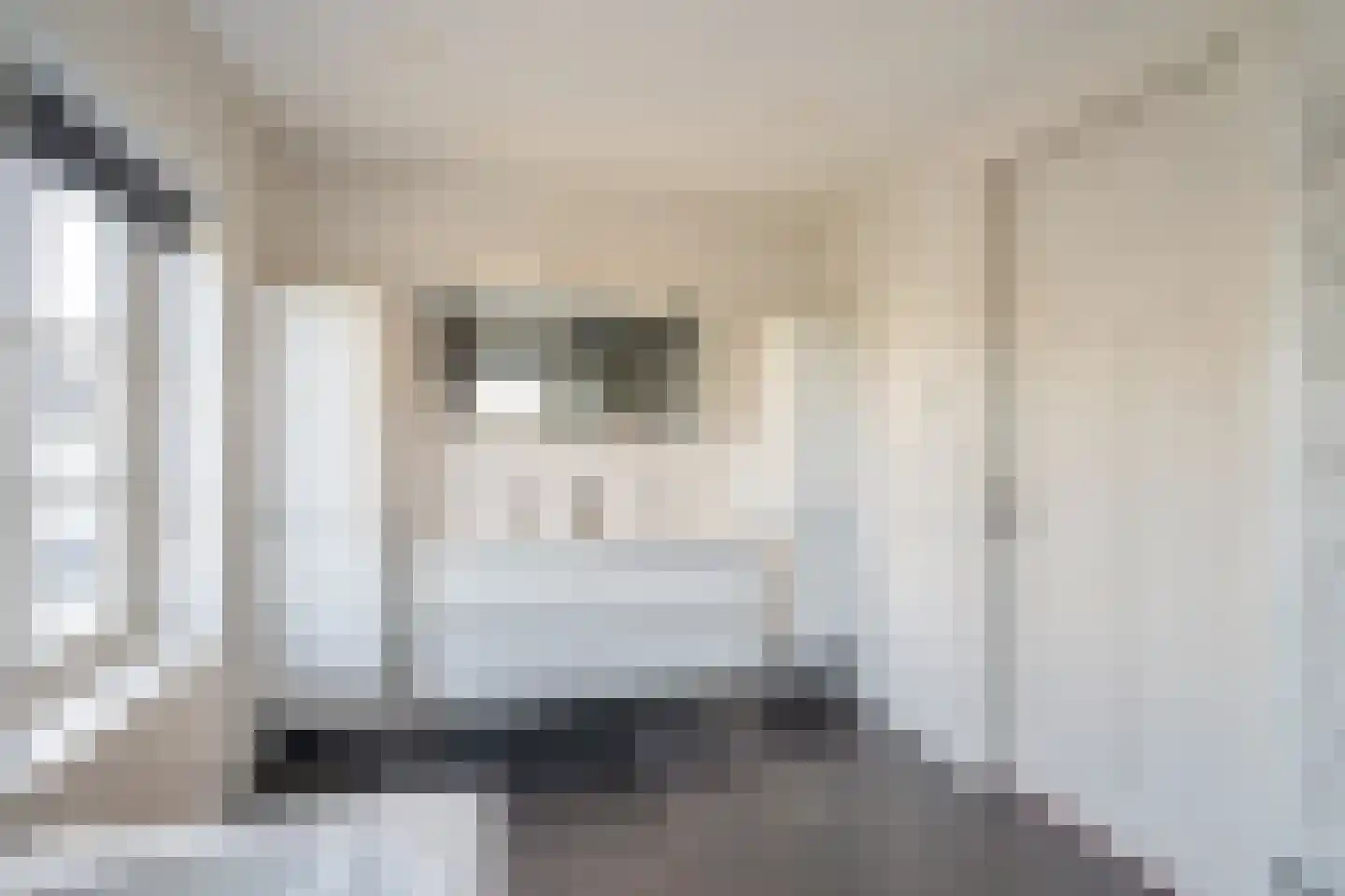 Maasdamstraat 30 Zoetermeer thumbnail 47
