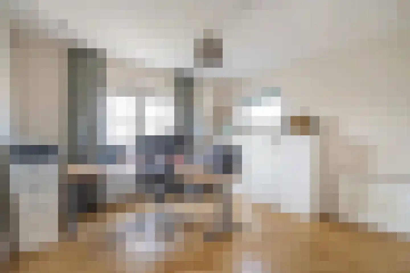 Maasdamstraat 30 Zoetermeer thumbnail 49