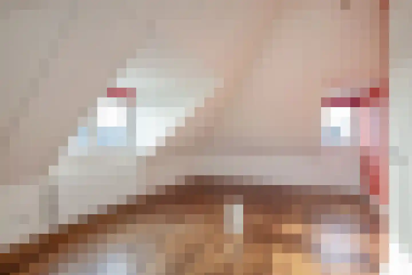 Maasdamstraat 30 Zoetermeer thumbnail 52
