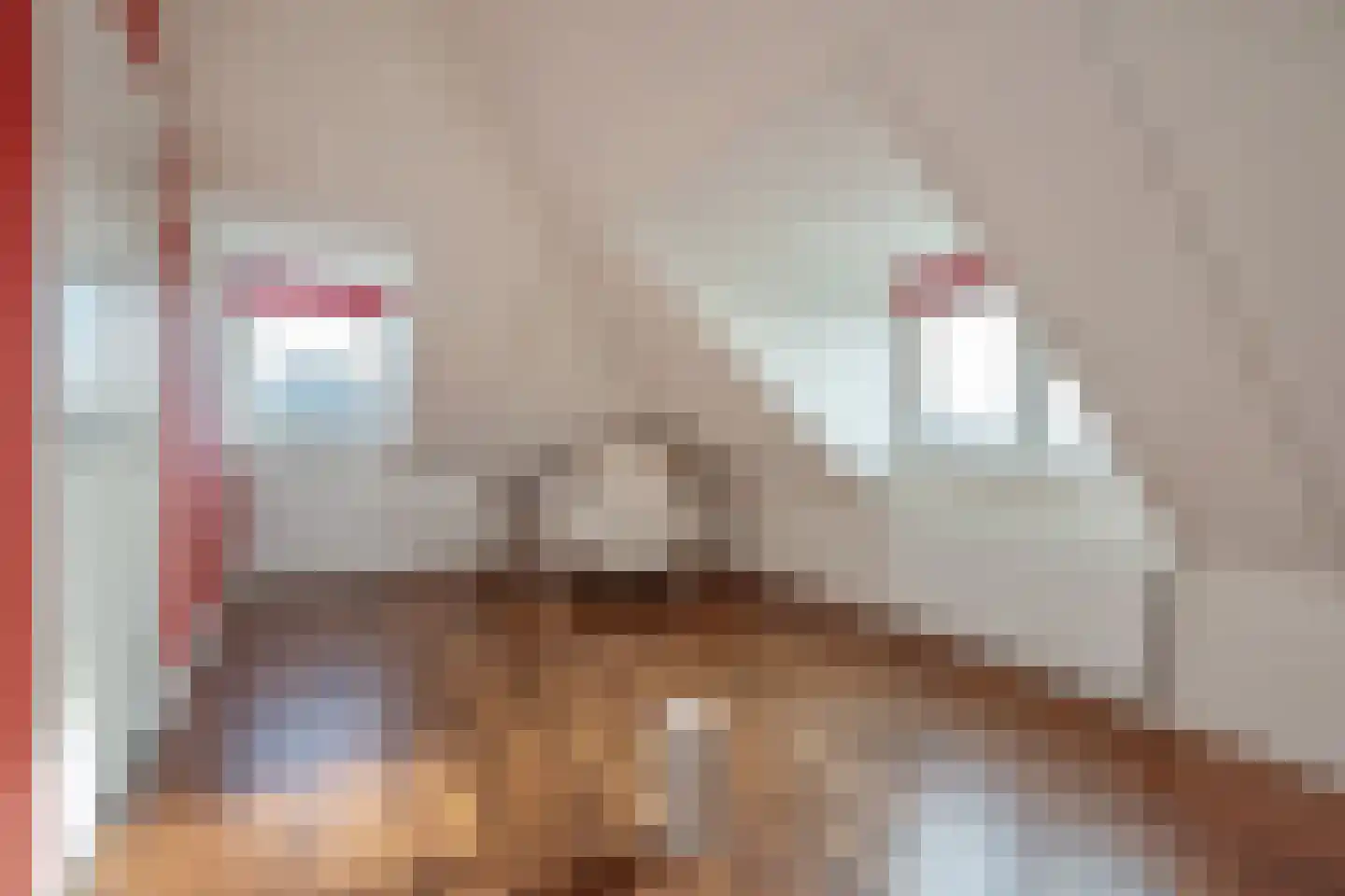 Maasdamstraat 30 Zoetermeer thumbnail 53