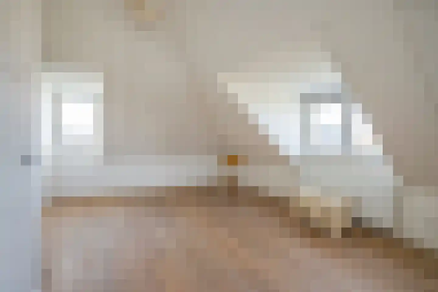Maasdamstraat 30 Zoetermeer thumbnail 58