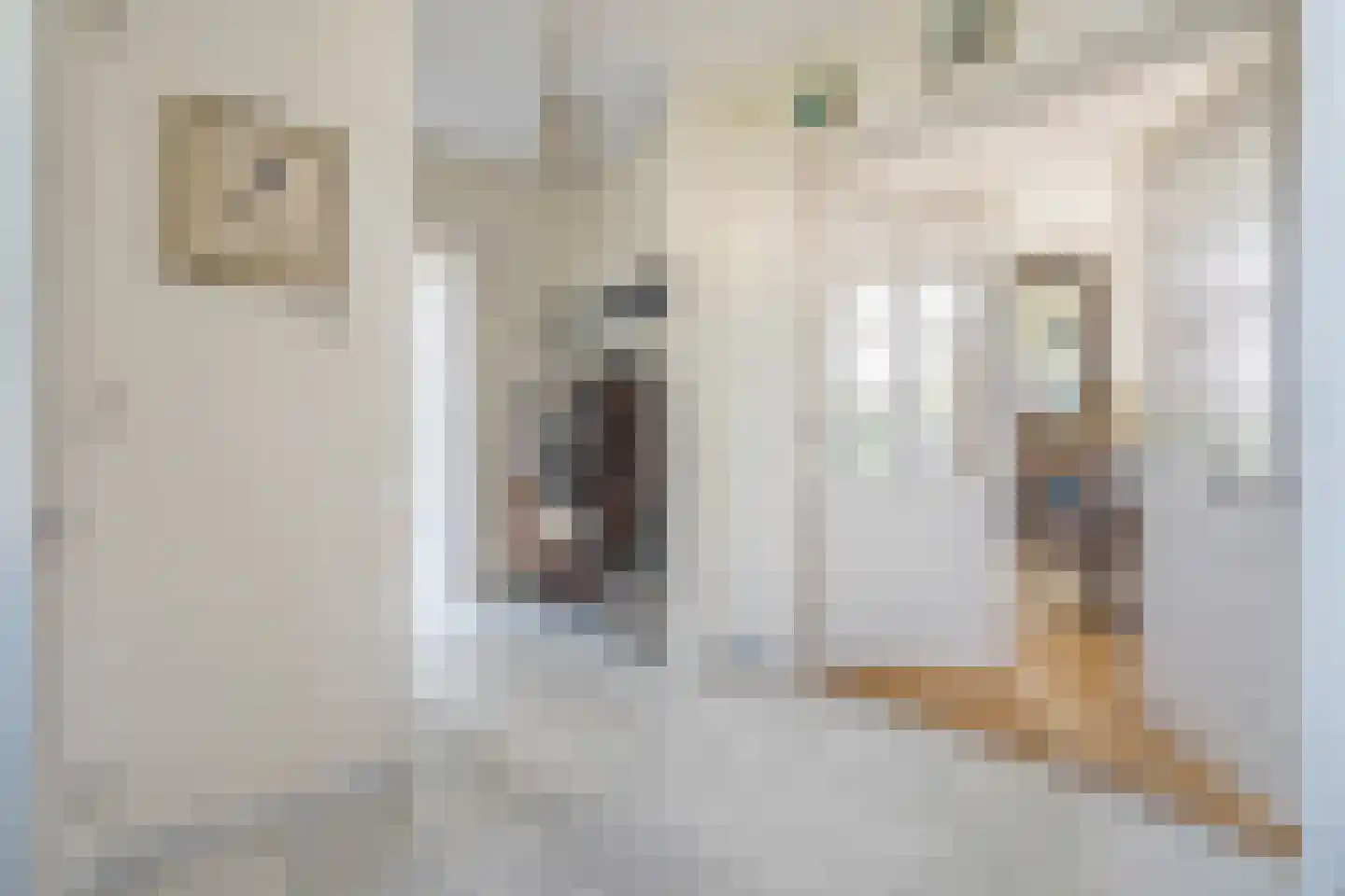 Maasdamstraat 30 Zoetermeer thumbnail 8