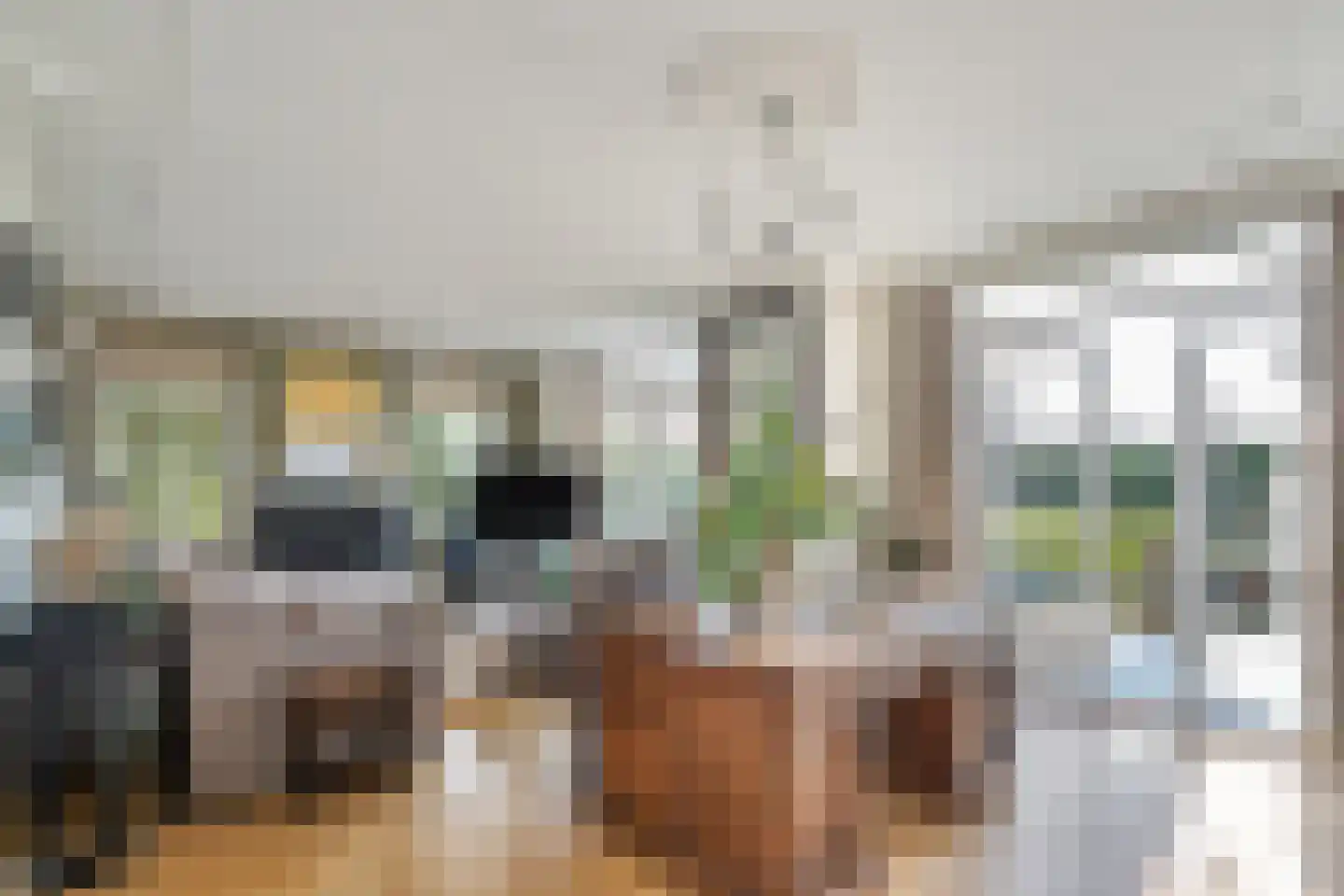 Maasdamstraat 30 Zoetermeer thumbnail 9