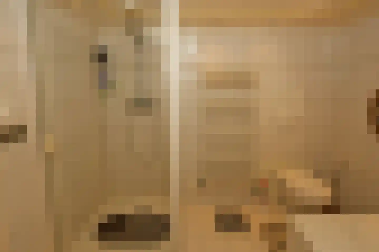 Maasdijk 1 c Aalst thumbnail 14