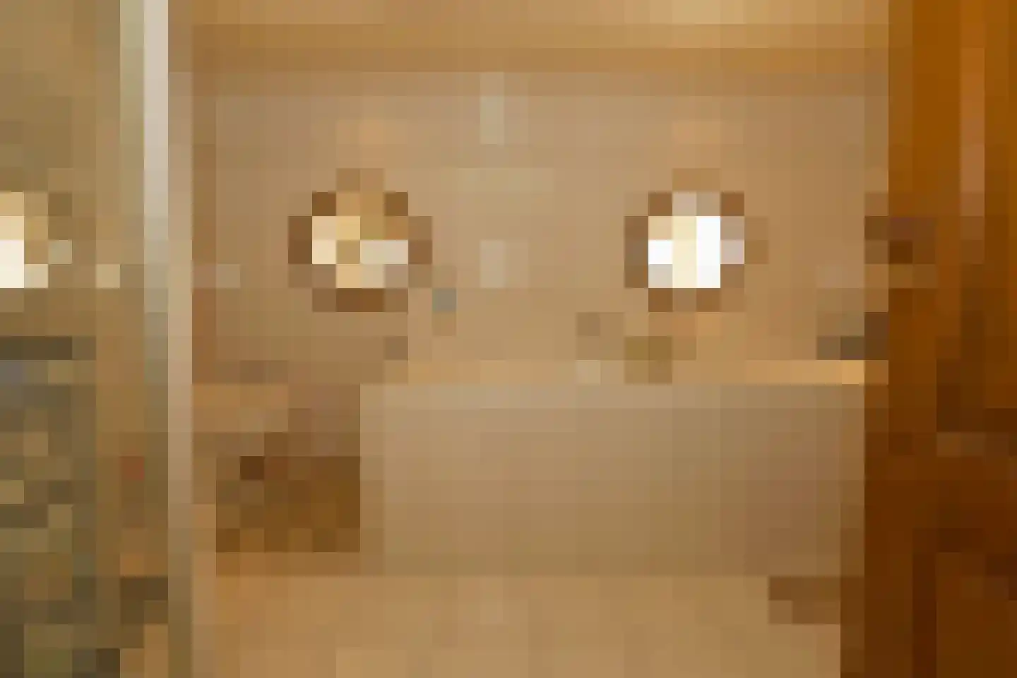 Maasdijk 1 c Aalst thumbnail 14