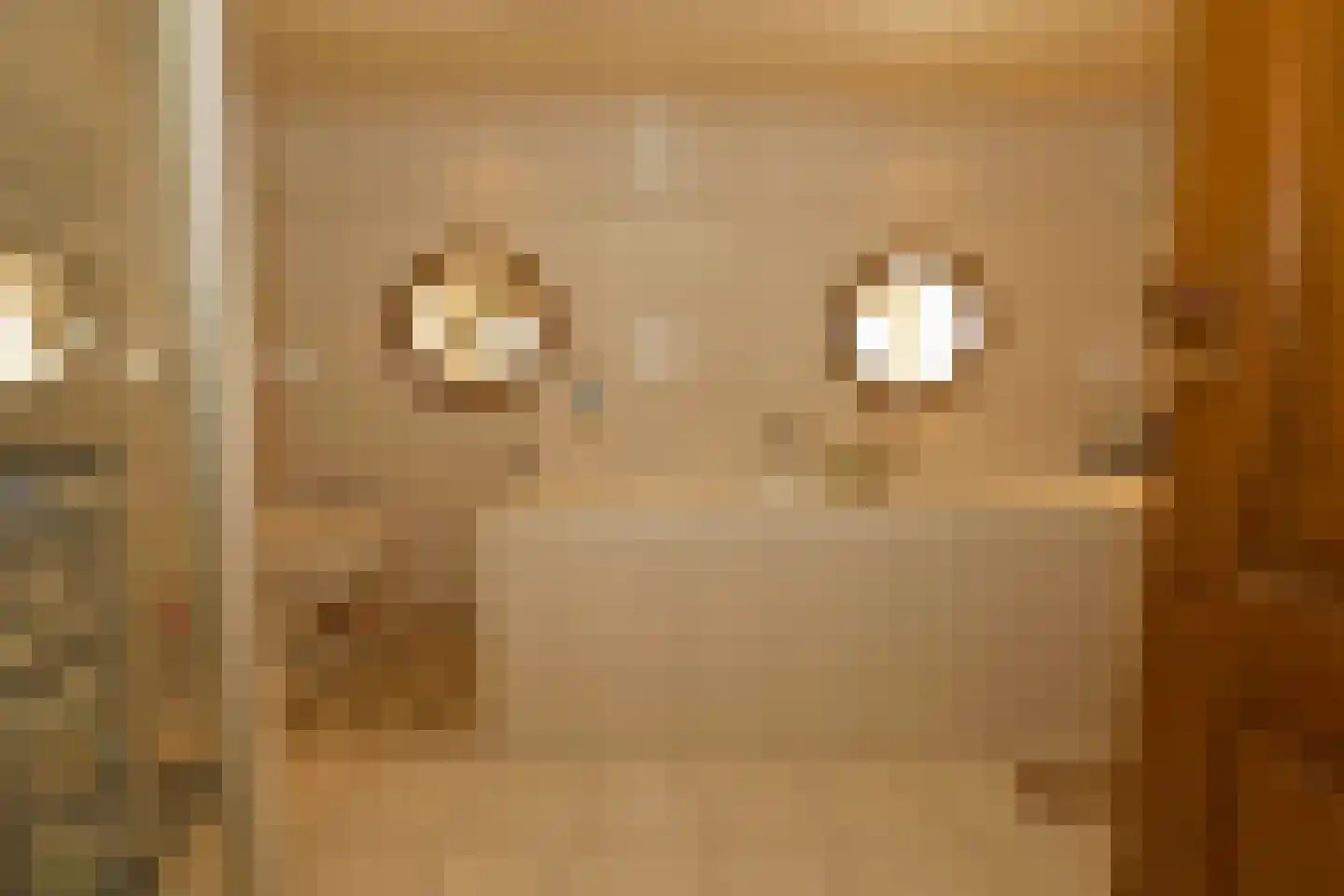 Maasdijk 1 c Aalst thumbnail 15