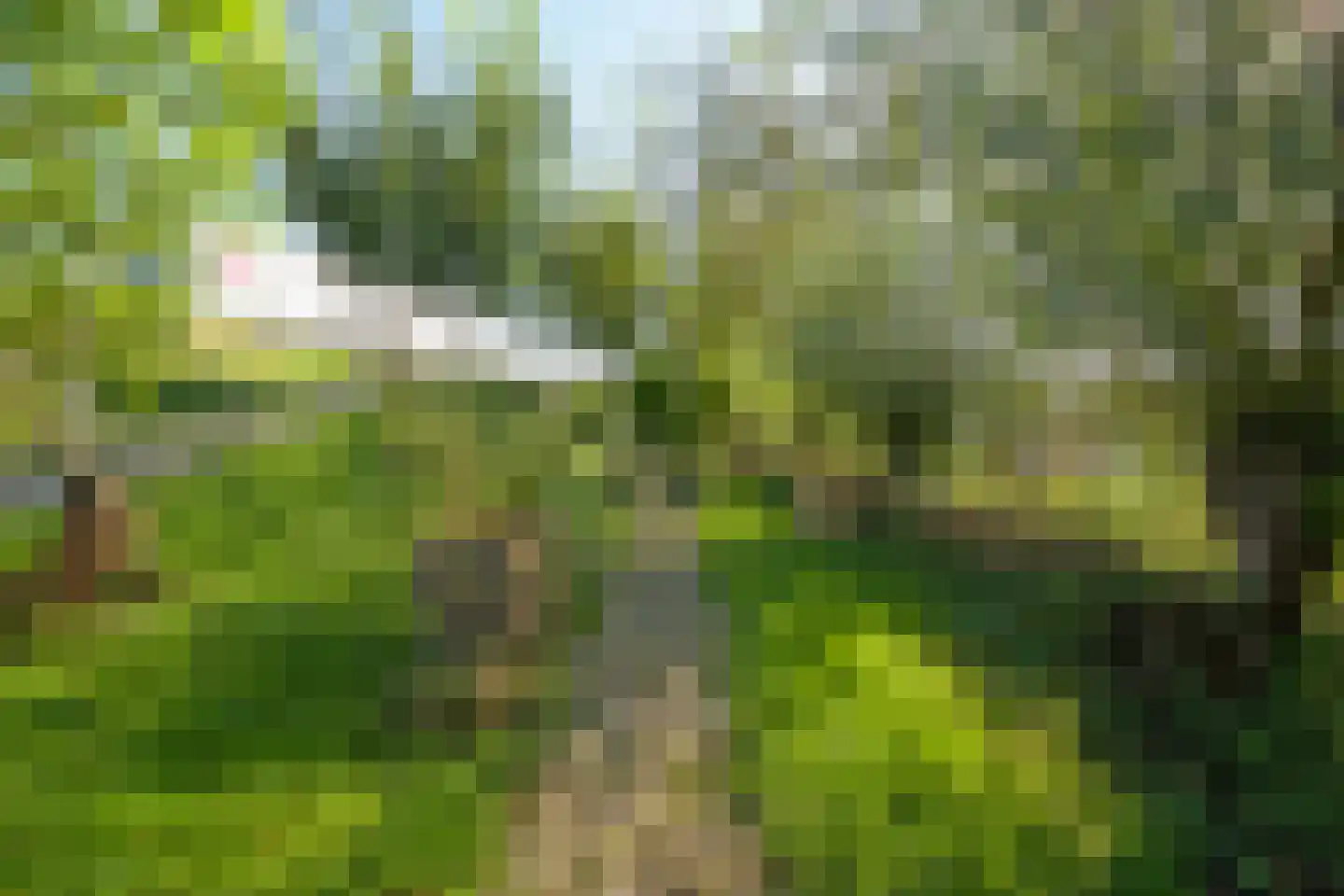 Maasdijk 1 c Aalst thumbnail 21