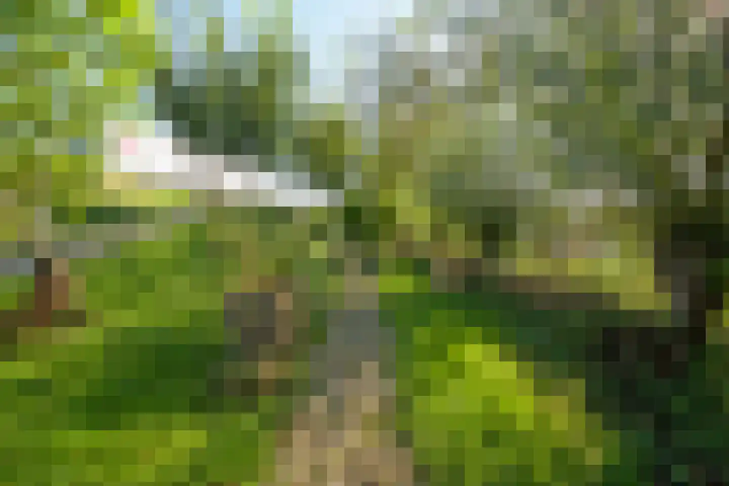 Maasdijk 1 c Aalst thumbnail 22