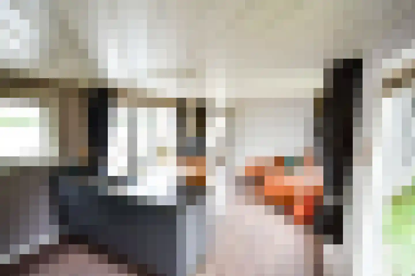Maasdijk 1 c Aalst thumbnail 25