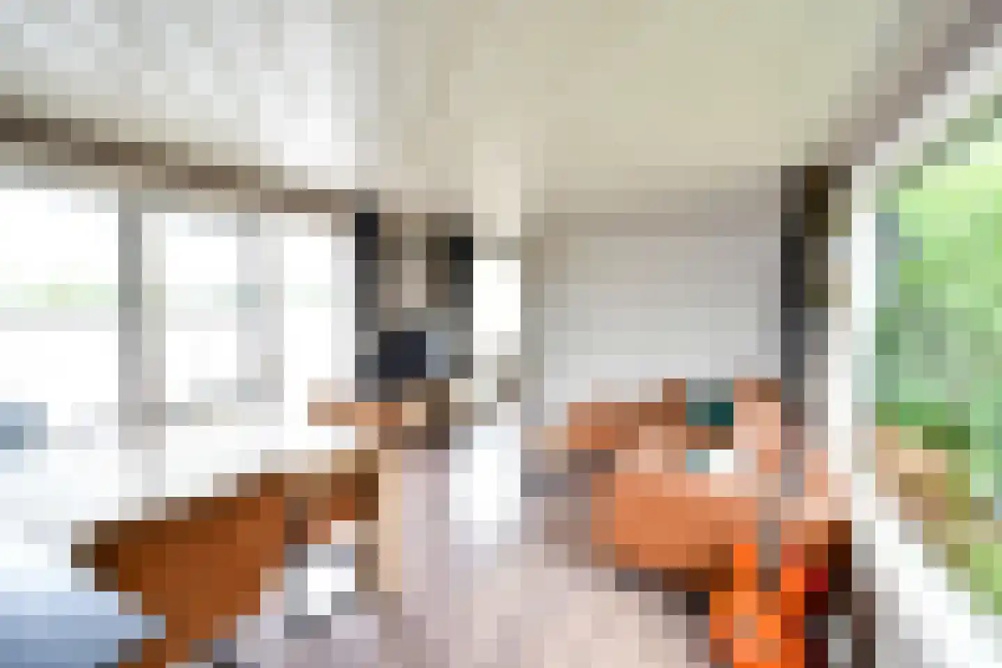 Maasdijk 1 c Aalst thumbnail 26