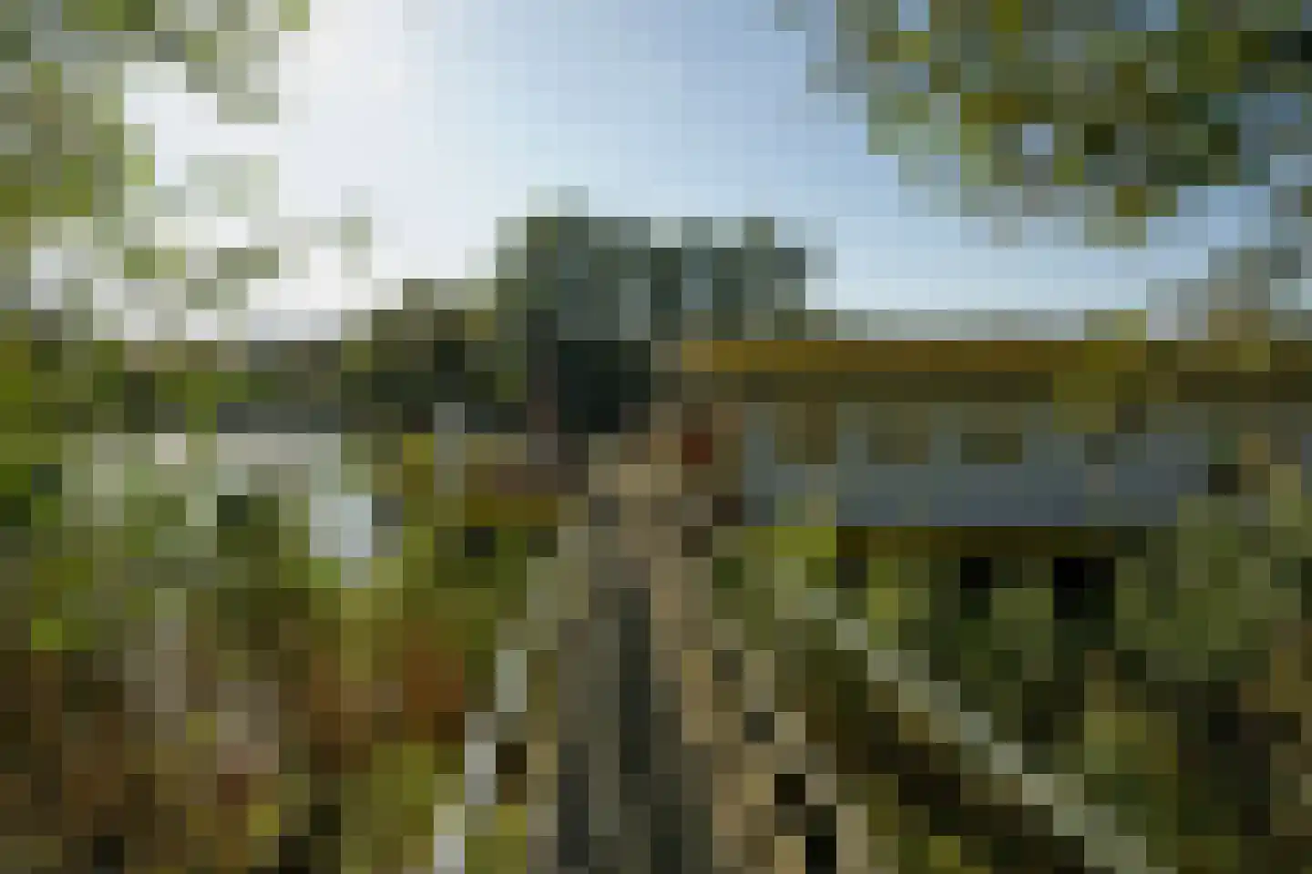 Maasdijk 1 c Aalst thumbnail 4