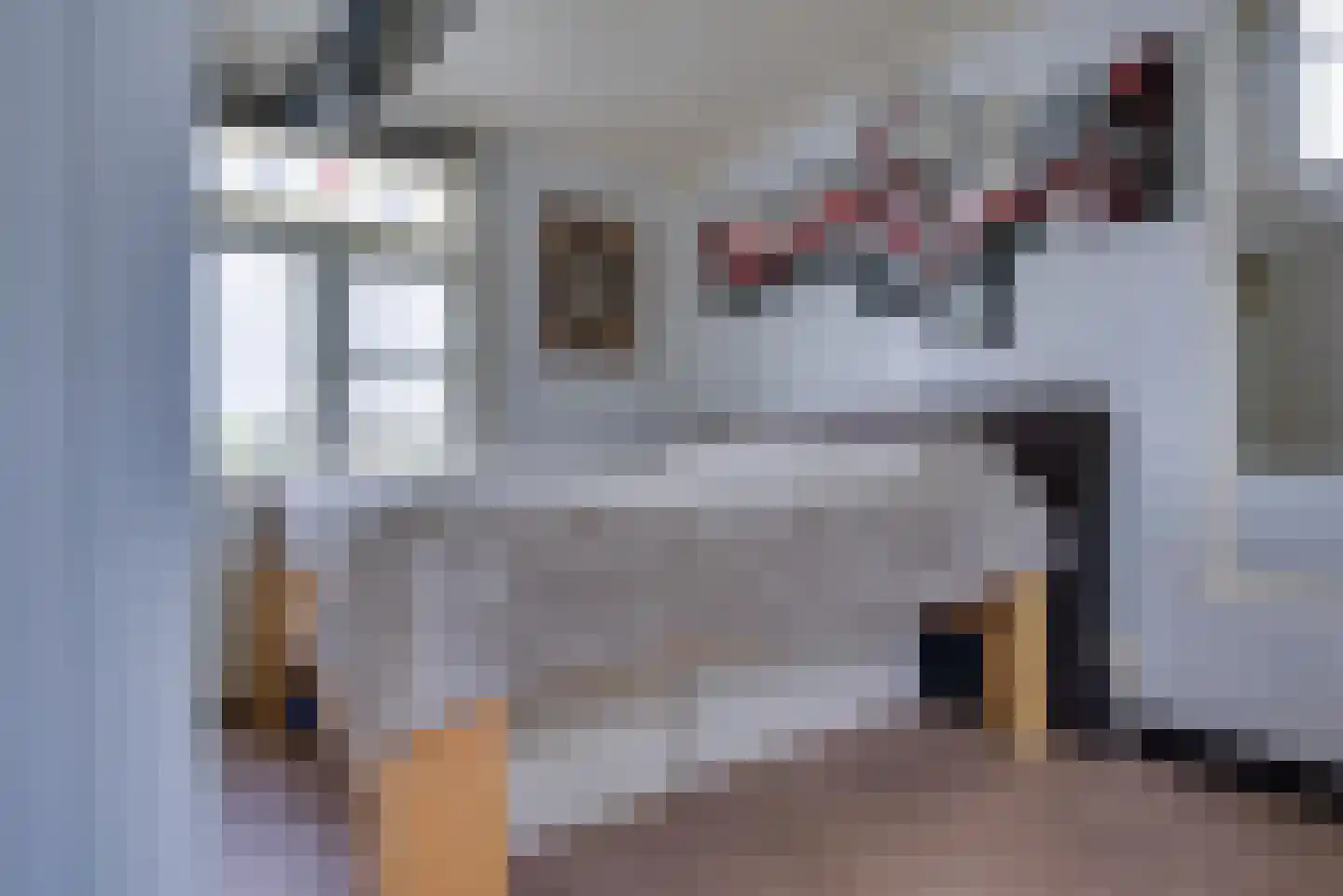 Maasdijk 1 d Nederhemert thumbnail 10