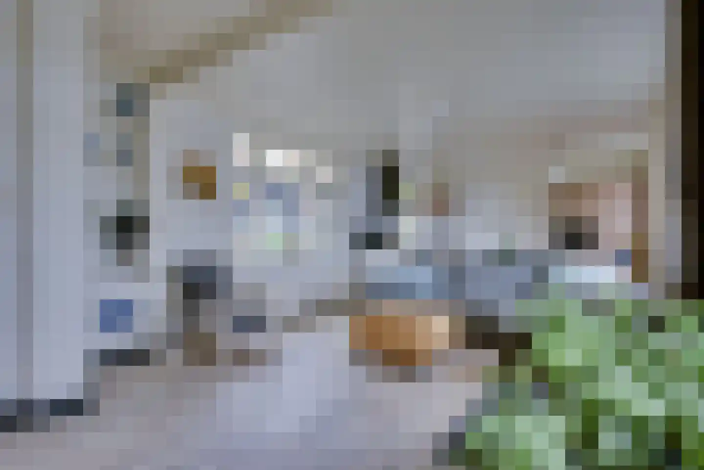 Maasdijk 1 d Nederhemert thumbnail 13
