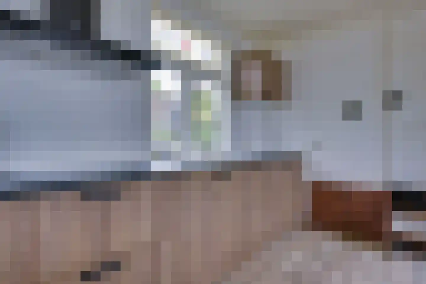 Maasdijk 1 d Nederhemert thumbnail 5