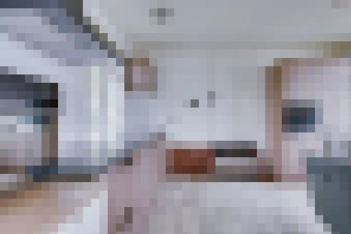 Maasdijk 1 d Nederhemert thumbnail 6