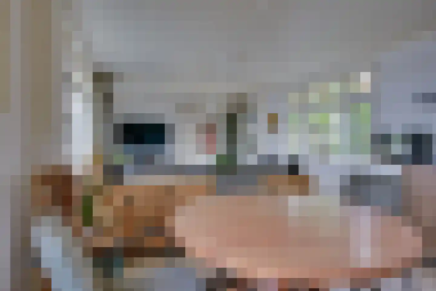 Maasdijk 1 d Nederhemert thumbnail 7