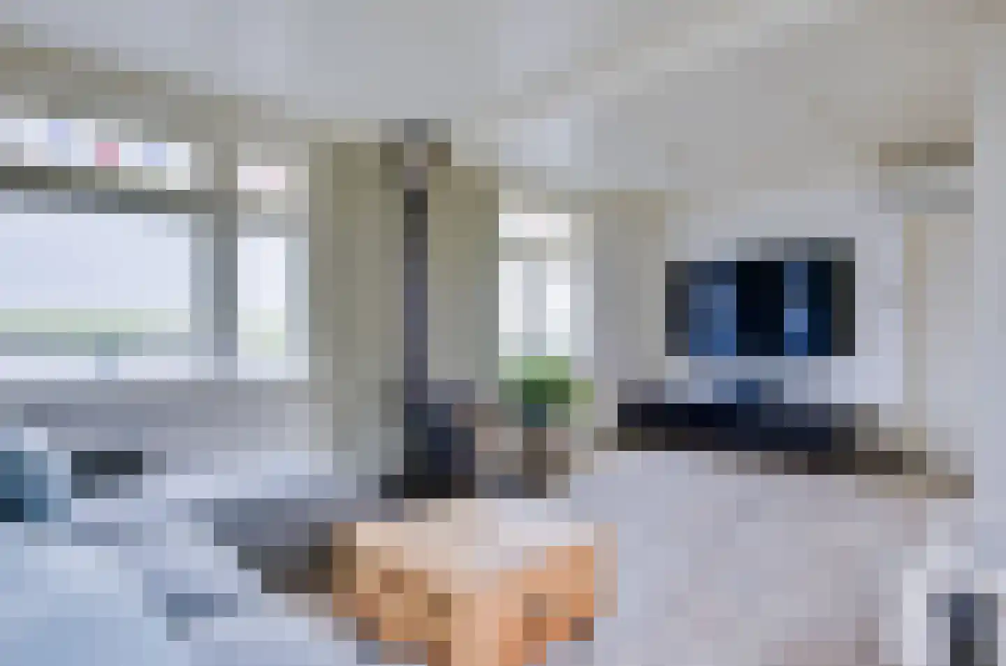 Maasdijk 1 d Nederhemert thumbnail 8