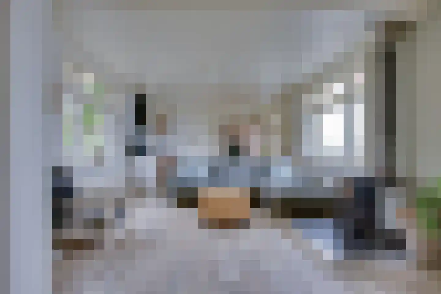 Maasdijk 1 d Nederhemert thumbnail 9