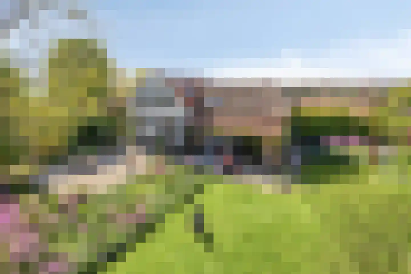 Maasdijk 11 dans Nederasselt