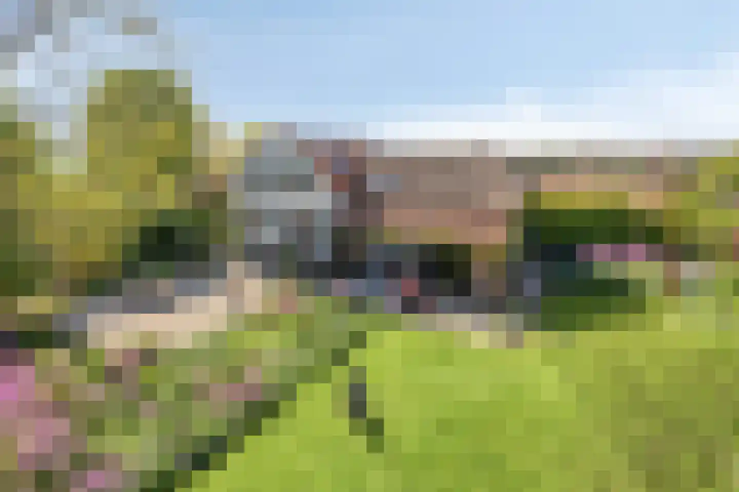 Maasdijk 11 in Nederasselt