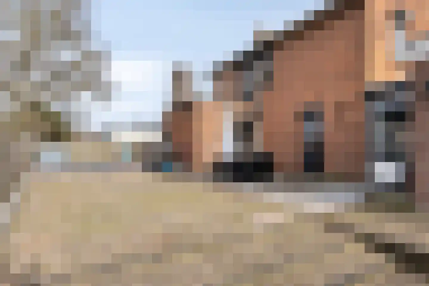 Maasdijk 11 Hedel thumbnail 11