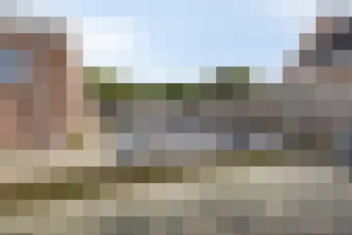 Maasdijk 11 Hedel thumbnail 14